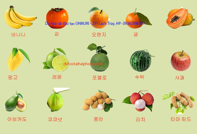Tên các loại quả trong tiếng Hàn